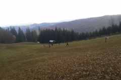 20151108_114317