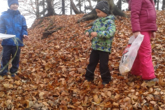 20151108_115751
